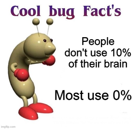 Cool Bug Facts | People don't use 10% of their brain; Most use 0% | image tagged in cool bug facts,memes,stupid people,stupid,brains | made w/ Imgflip meme maker