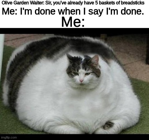 Fat Cat | Olive Garden Waiter: Sir, you've already have 5 baskets of breadsticks; Me: I'm done when I say I'm done. Me: | image tagged in fat cat | made w/ Imgflip meme maker