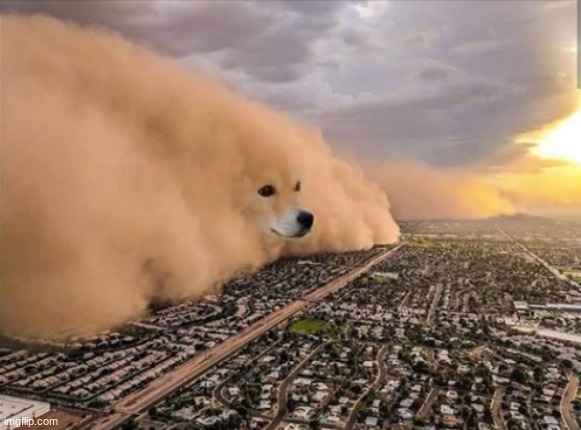 Dust Doge Storm | image tagged in dust doge storm | made w/ Imgflip meme maker