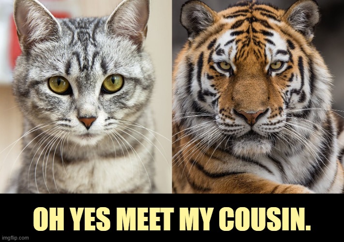 OH YES MEET MY COUSIN. | made w/ Imgflip meme maker