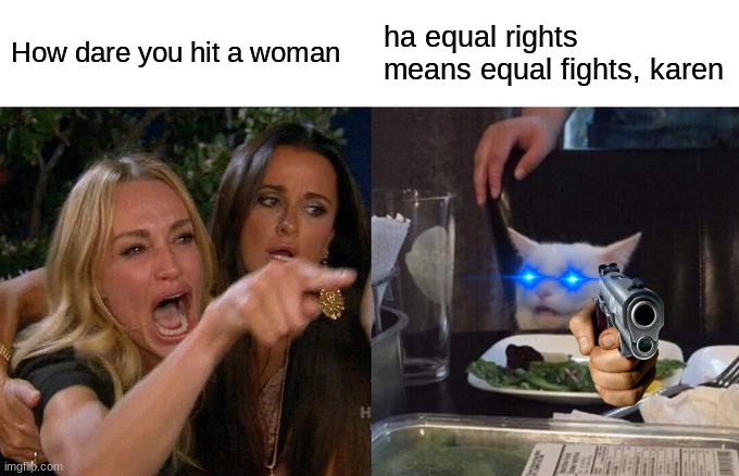 Woman Yelling At Cat | How dare you hit a woman; ha equal rights means equal fights, karen | image tagged in memes,woman yelling at cat | made w/ Imgflip meme maker