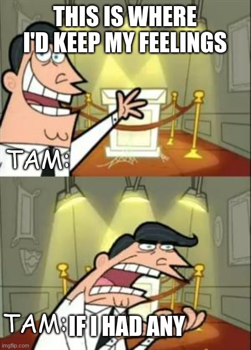 This Is Where I'd Put My Trophy If I Had One | THIS IS WHERE I'D KEEP MY FEELINGS; TAM:; IF I HAD ANY; TAM: | image tagged in memes,this is where i'd put my trophy if i had one,kotlc | made w/ Imgflip meme maker