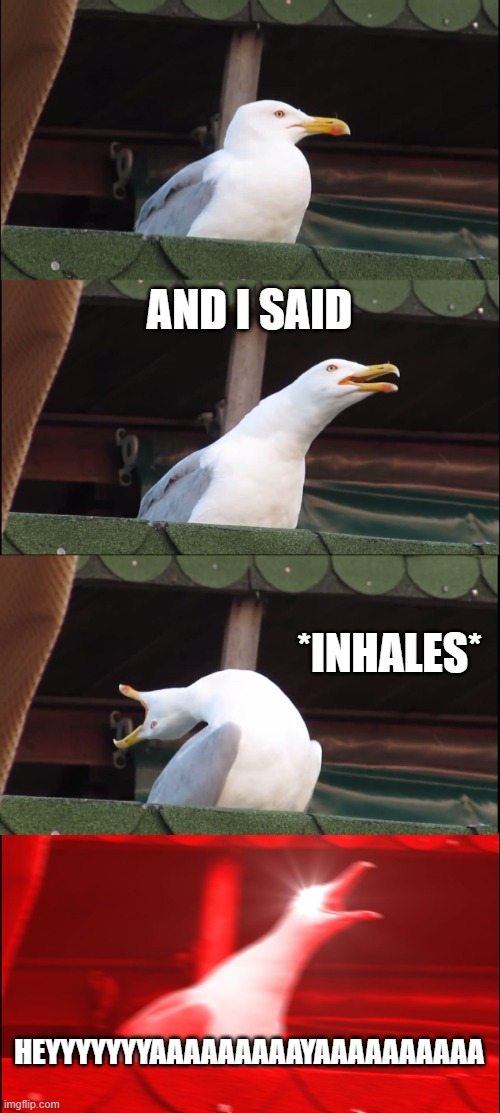 Inhaling Seagull | AND I SAID; *INHALES*; HEYYYYYYYAAAAAAAAAYAAAAAAAAAA | image tagged in memes,inhaling seagull | made w/ Imgflip meme maker