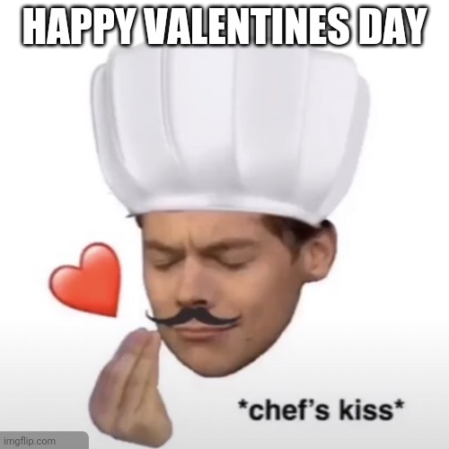 You can tell that I will be lonely for the day. It does not hurt, I am used to that | HAPPY VALENTINES DAY | image tagged in chef s kiss | made w/ Imgflip meme maker