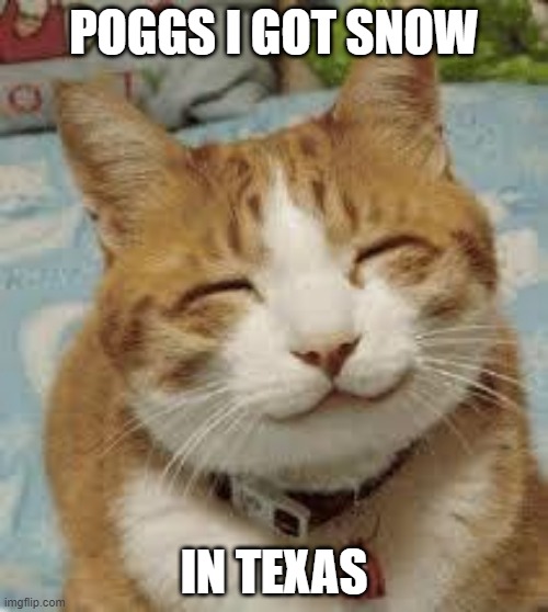 Happy cat | POGGS I GOT SNOW; IN TEXAS | image tagged in happy cat | made w/ Imgflip meme maker