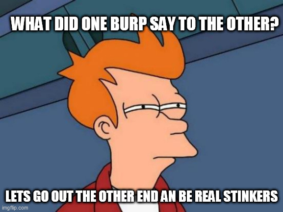 Futurama Fry | WHAT DID ONE BURP SAY TO THE OTHER? LETS GO OUT THE OTHER END AN BE REAL STINKERS | image tagged in memes,futurama fry | made w/ Imgflip meme maker