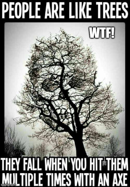 WTF! | image tagged in i like trees | made w/ Imgflip meme maker