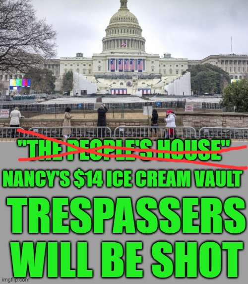 yep | "THE PEOPLE'S HOUSE"; NANCY'S $14 ICE CREAM VAULT; TRESPASSERS WILL BE SHOT | image tagged in democrats,fascism | made w/ Imgflip meme maker