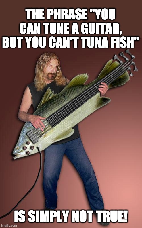 Tune | THE PHRASE "YOU CAN TUNE A GUITAR, BUT YOU CAN'T TUNA FISH" IS SIMPLY NOT TRUE! | image tagged in fish guitar | made w/ Imgflip meme maker