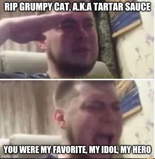 Crying salute | RIP GRUMPY CAT, A.K.A TARTAR SAUCE YOU WERE MY FAVORITE, MY IDOL, MY HERO | image tagged in crying salute | made w/ Imgflip meme maker