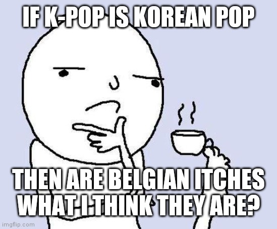 What other combos are there? |  IF K-POP IS KOREAN POP; THEN ARE BELGIAN ITCHES WHAT I THINK THEY ARE? | image tagged in thinking meme,memes,hmmm,good question | made w/ Imgflip meme maker