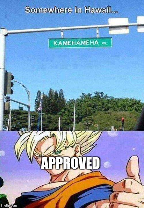 Goku's Kamehameha Street | APPROVED | image tagged in goku's kamehameha street | made w/ Imgflip meme maker