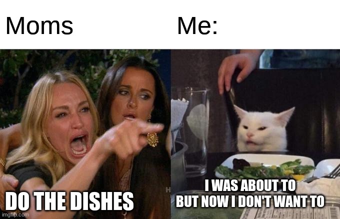 Meme | Moms; Me:; I WAS ABOUT TO BUT NOW I DON'T WANT TO; DO THE DISHES | image tagged in memes,woman yelling at cat | made w/ Imgflip meme maker