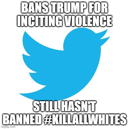 Frick them | BANS TRUMP FOR INCITING VIOLENCE; STILL HASN'T BANNED #KILLALLWHITES | image tagged in twitter birds says | made w/ Imgflip meme maker