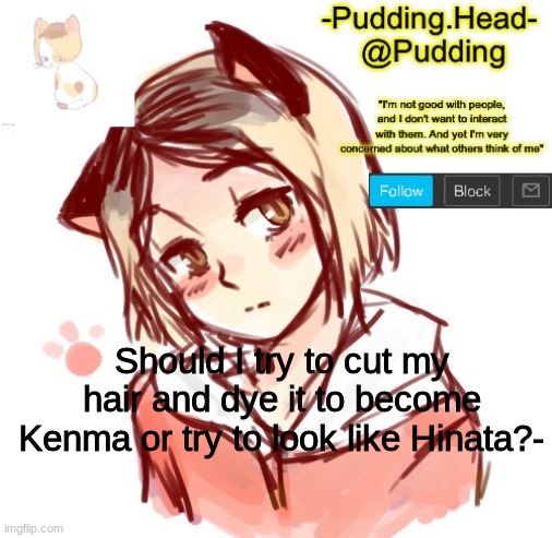 If I look like Hinata I can also dye my hair pink and green to be Deku and Mina- | Should I try to cut my hair and dye it to become Kenma or try to look like Hinata?- | image tagged in kenma temp | made w/ Imgflip meme maker