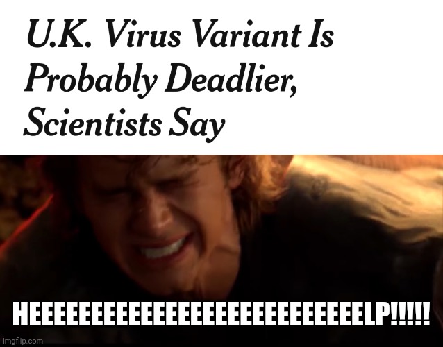 :( | HEEEEEEEEEEEEEEEEEEEEEEEEEEELP!!!!! | image tagged in aaaaaaaaaaaaaaaaaaaaaaaaaaa,why,stop,coronavirus,covid-19,uk covid strain | made w/ Imgflip meme maker