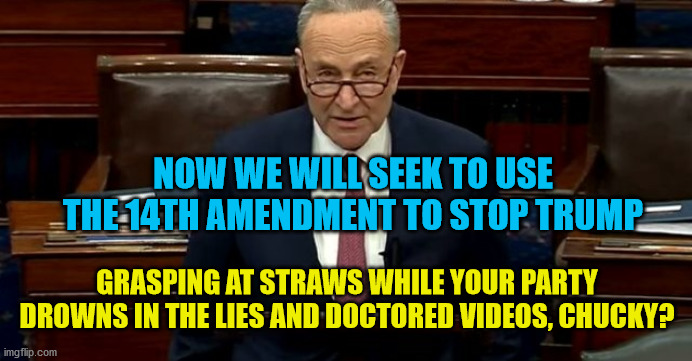 NOW WE WILL SEEK TO USE THE 14TH AMENDMENT TO STOP TRUMP; GRASPING AT STRAWS WHILE YOUR PARTY DROWNS IN THE LIES AND DOCTORED VIDEOS, CHUCKY? | image tagged in chucky | made w/ Imgflip meme maker