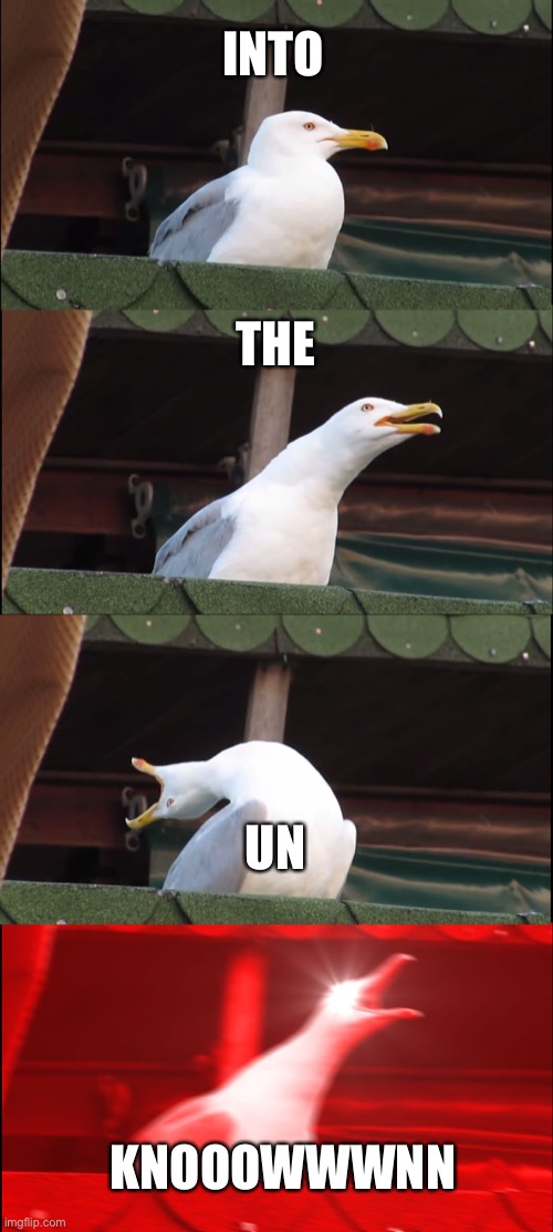 INTO THE UNKNOWN! | INTO; THE; UN; KNOOOWWWNN | image tagged in memes,inhaling seagull | made w/ Imgflip meme maker