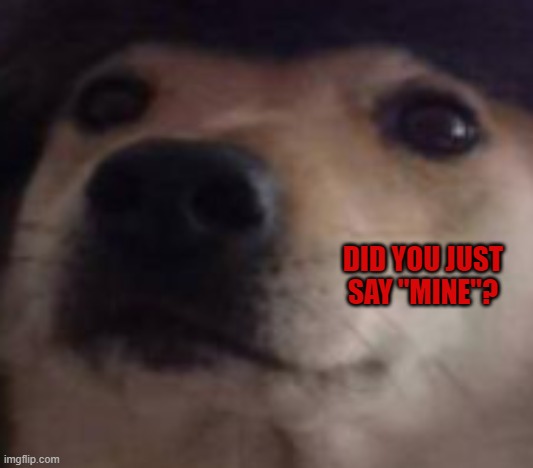 o u r | DID YOU JUST SAY "MINE"? | made w/ Imgflip meme maker