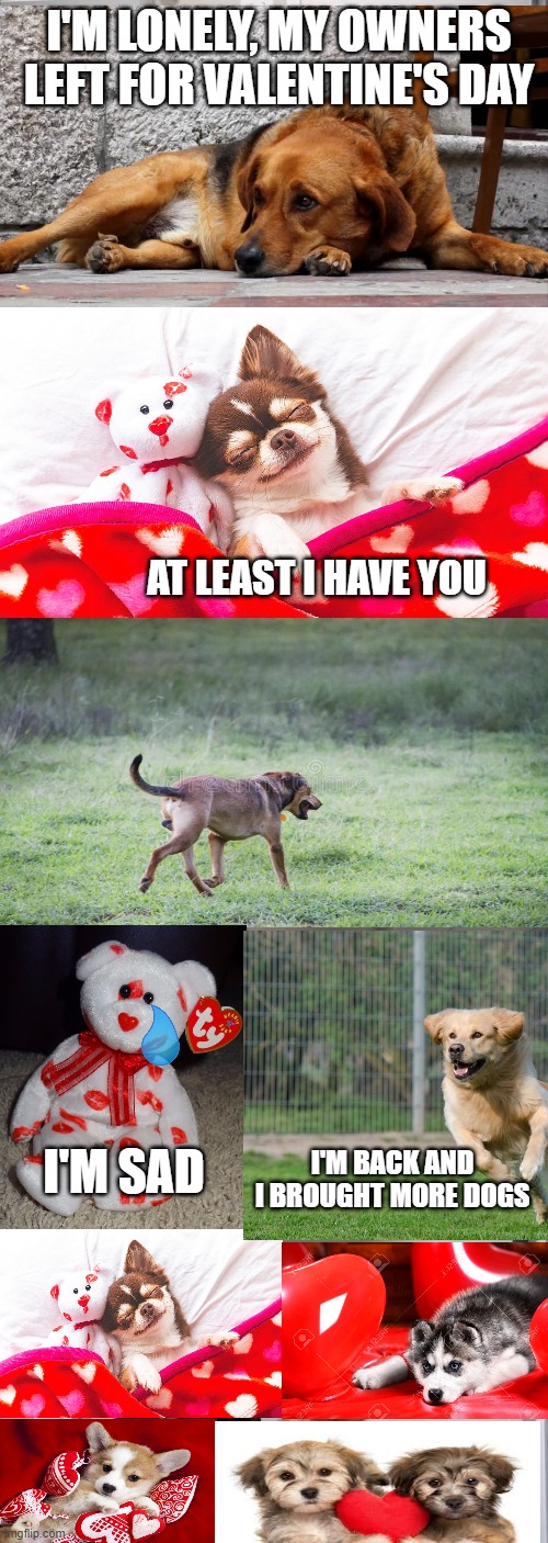 don't spend valentines day alone | I'M LONELY, MY OWNERS LEFT FOR VALENTINE'S DAY; AT LEAST I HAVE YOU; I'M SAD; I'M BACK AND I BROUGHT MORE DOGS | image tagged in memes,valentines day,cute dogs,dogs,cute,puppies | made w/ Imgflip meme maker