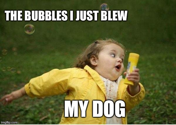 Doggos Do Be Afraid Of Buubles Though | THE BUBBLES I JUST BLEW; MY DOG | image tagged in memes,chubby bubbles girl,dogs | made w/ Imgflip meme maker