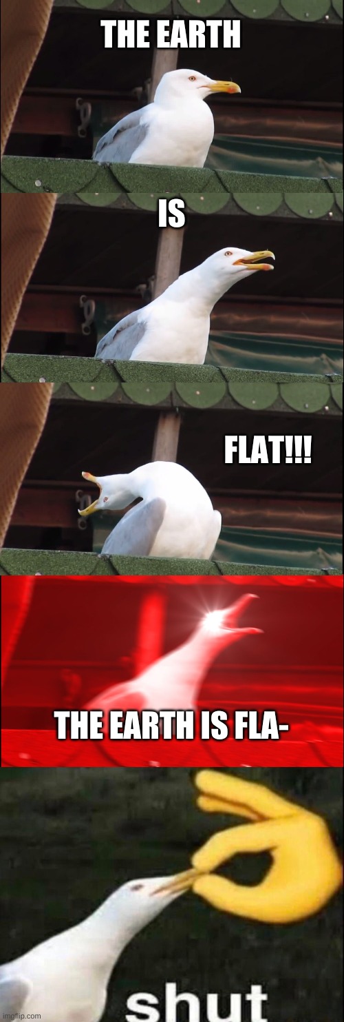 THE EARTH; IS; FLAT!!! THE EARTH IS FLA- | image tagged in memes,inhaling seagull,shut | made w/ Imgflip meme maker