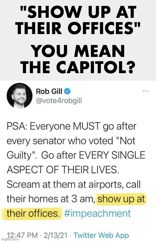 It's different when we do it | "SHOW UP AT
THEIR OFFICES"; YOU MEAN
THE CAPITOL? | image tagged in liberal hypocrisy,insurrection,inciting violence,capitol | made w/ Imgflip meme maker