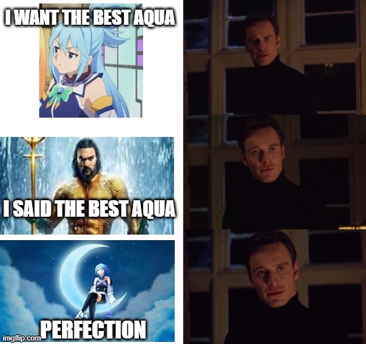 Best Aqua | I WANT THE BEST AQUA; I SAID THE BEST AQUA; PERFECTION | image tagged in perfection,aqua battle,kingdom hearts,aquaman,konosuba | made w/ Imgflip meme maker