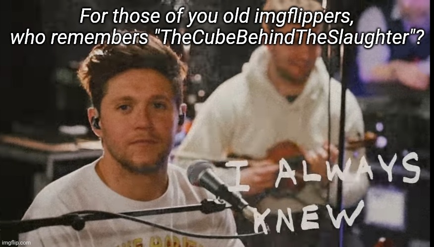 I always knew | For those of you old imgflippers, who remembers "TheCubeBehindTheSlaughter"? | image tagged in i always knew | made w/ Imgflip meme maker