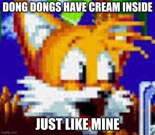 tails pog | DONG DONGS HAVE CREAM INSIDE; JUST LIKE MINE | image tagged in tails pog,memes | made w/ Imgflip meme maker