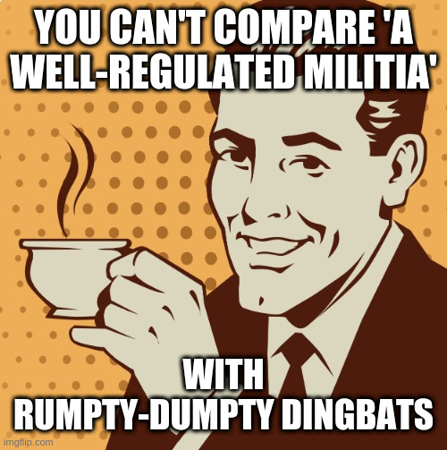 Mug approval | YOU CAN'T COMPARE 'A WELL-REGULATED MILITIA'; WITH RUMPTY-DUMPTY DINGBATS | image tagged in mug approval | made w/ Imgflip meme maker
