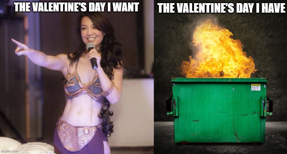 Valentine's Day | THE VALENTINE'S DAY I HAVE; THE VALENTINE'S DAY I WANT | image tagged in valentine's day,star wars slave leia,the mandalorian | made w/ Imgflip meme maker