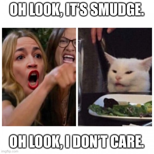 AOC vs Smudge | OH LOOK, IT’S SMUDGE. OH LOOK, I DON’T CARE. | image tagged in aoc vs smudge | made w/ Imgflip meme maker