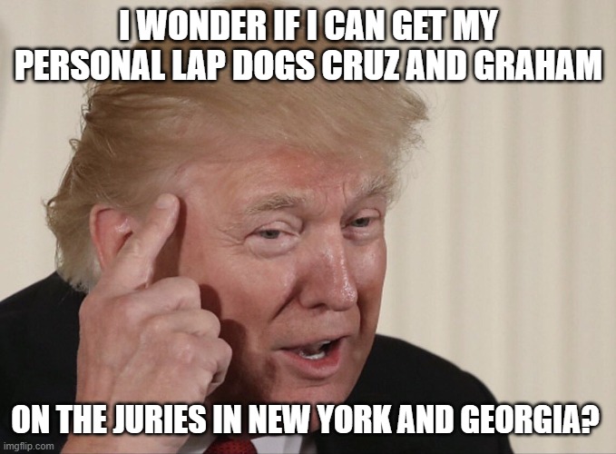 Thinking Trump | I WONDER IF I CAN GET MY PERSONAL LAP DOGS CRUZ AND GRAHAM; ON THE JURIES IN NEW YORK AND GEORGIA? | image tagged in thinking trump | made w/ Imgflip meme maker