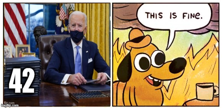 I thought I voted out the dictator | image tagged in memes,this is fine | made w/ Imgflip meme maker