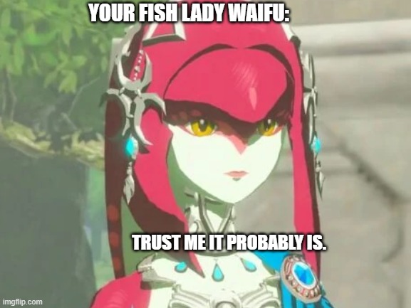 Probably you fish lady Waifu | YOUR FISH LADY WAIFU:; TRUST ME IT PROBABLY IS. | image tagged in the legend of zelda breath of the wild,mipha | made w/ Imgflip meme maker