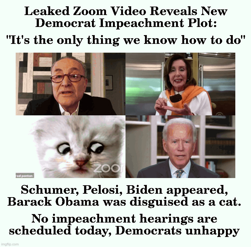 Leaked Zoom Video Reveals New Democrat Impeachment Plot | image tagged in chuck schumer,nancy pelosi,zoom,cat,barack obama,joe biden | made w/ Imgflip meme maker