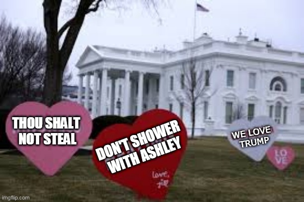 Valentine Hearts | DON'T SHOWER 
WITH ASHLEY; WE LOVE 
TRUMP; THOU SHALT 
NOT STEAL | image tagged in trump,we love trump,white house,election fraud,election theft | made w/ Imgflip meme maker