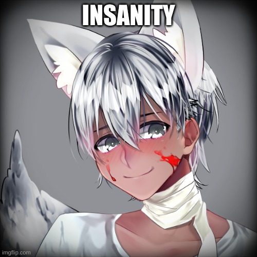 INSANITY | made w/ Imgflip meme maker