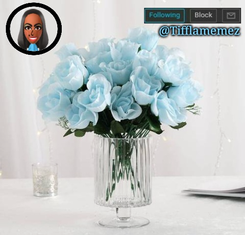 Tifflamemez light blue roses announcement template Blank Meme Template