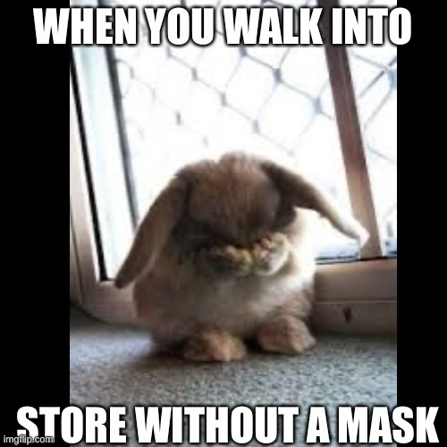 Covid bunny | WHEN YOU WALK INTO; STORE WITHOUT A MASK | image tagged in coronavirus | made w/ Imgflip meme maker