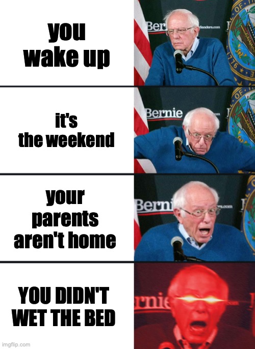 Only people like me will understand. | you wake up; it's the weekend; your parents aren't home; YOU DIDN'T WET THE BED | image tagged in bernie sanders reaction nuked | made w/ Imgflip meme maker
