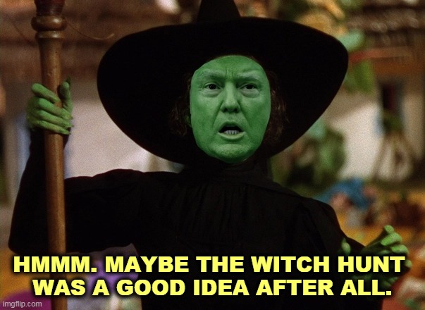 FOUND ONE!!! | HMMM. MAYBE THE WITCH HUNT 
WAS A GOOD IDEA AFTER ALL. | image tagged in donald trump the witch hunt,trump,witch hunt,wizard of oz | made w/ Imgflip meme maker