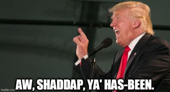 A man who failed at everything he tried wants to come back and fail some more. | AW, SHADDAP, YA' HAS-BEEN. | image tagged in trump,loser,failure | made w/ Imgflip meme maker