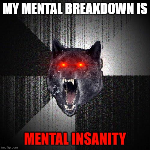 r u kidding me? | MY MENTAL BREAKDOWN IS; MENTAL INSANITY | image tagged in memes,insanity wolf | made w/ Imgflip meme maker