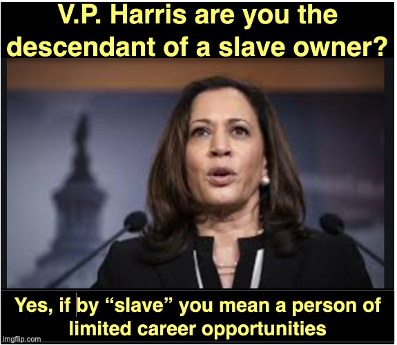 Kamala Harris | image tagged in slavery | made w/ Imgflip meme maker