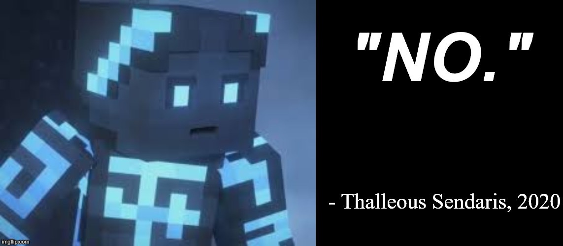 thalleous no | image tagged in thalleous no | made w/ Imgflip meme maker
