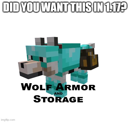 do you want this is minecraft 1.17? | DID YOU WANT THIS IN 1.17? | image tagged in blank white template,minecraft wolf armor | made w/ Imgflip meme maker