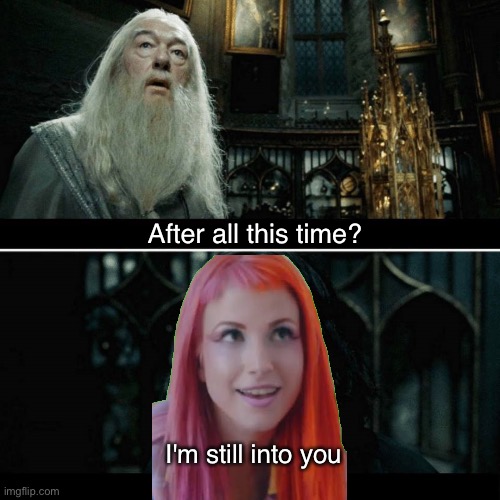 After all this time | After all this time? I'm still into you | image tagged in after all this time | made w/ Imgflip meme maker