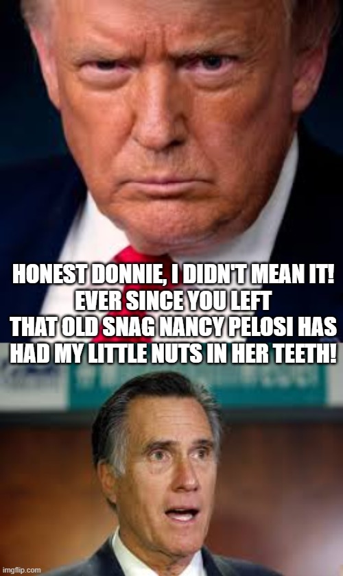 impeachment of trump | HONEST DONNIE, I DIDN'T MEAN IT!
EVER SINCE YOU LEFT THAT OLD SNAG NANCY PELOSI HAS HAD MY LITTLE NUTS IN HER TEETH! | image tagged in trump,republicans,nancy pelosi | made w/ Imgflip meme maker